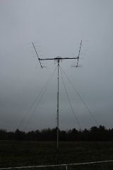 dpp_0007